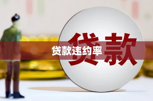柳城贷款违约率