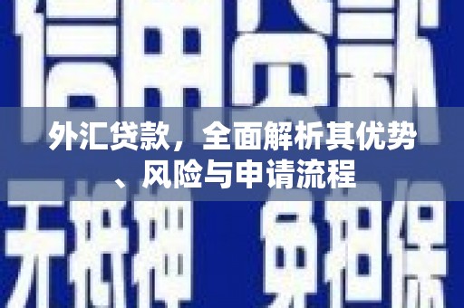 柳城外汇贷款，全面解析其优势、风险与申请流程