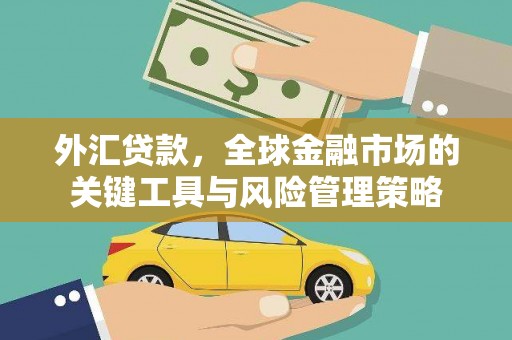 柳城外汇贷款，全球金融市场的关键工具与风险管理策略