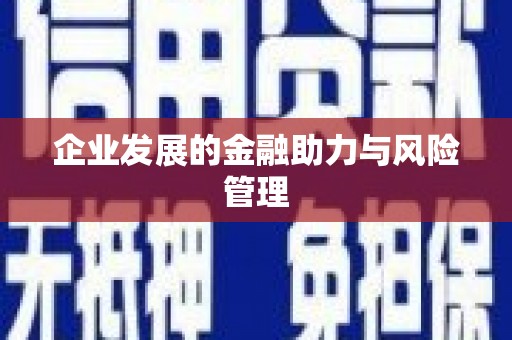 柳城企业发展的金融助力与风险管理