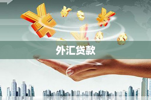 柳城外汇贷款
