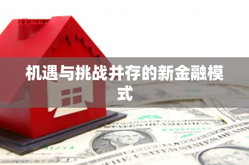 柳城机遇与挑战并存的新金融模式