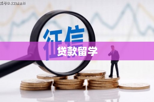 柳城贷款留学