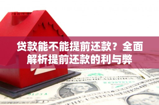 柳城贷款能不能提前还款？全面解析提前还款的利与弊