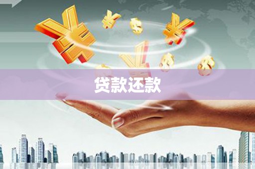 柳城贷款还款