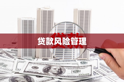 柳城贷款风险管理