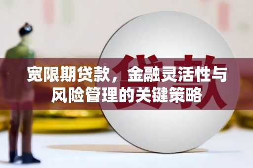 柳城宽限期贷款，金融灵活性与风险管理的关键策略