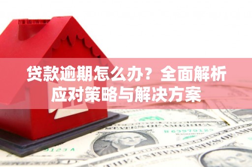 柳城贷款逾期怎么办？全面解析应对策略与解决方案