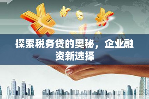 柳城探索税务贷的奥秘，企业融资新选择