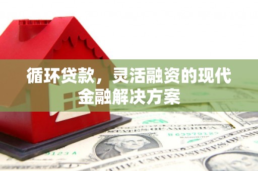 柳城循环贷款，灵活融资的现代金融解决方案