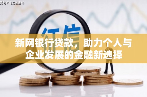 柳城新网银行贷款，助力个人与企业发展的金融新选择