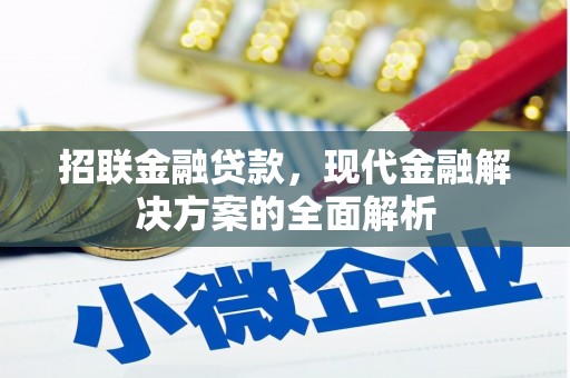 柳城招联金融贷款，现代金融解决方案的全面解析