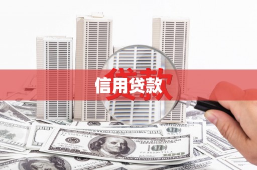 柳城信用贷款