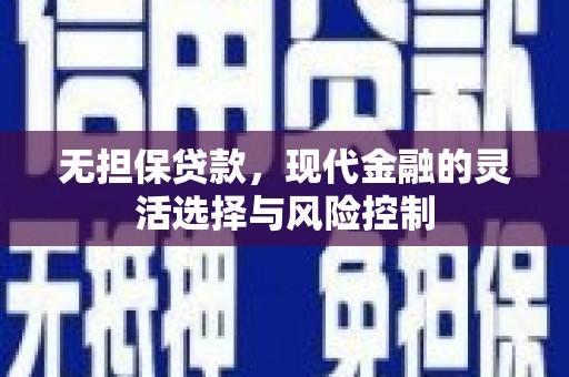 柳城无担保贷款，现代金融的灵活选择与风险控制