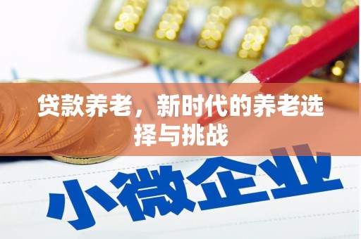 柳城贷款养老，新时代的养老选择与挑战