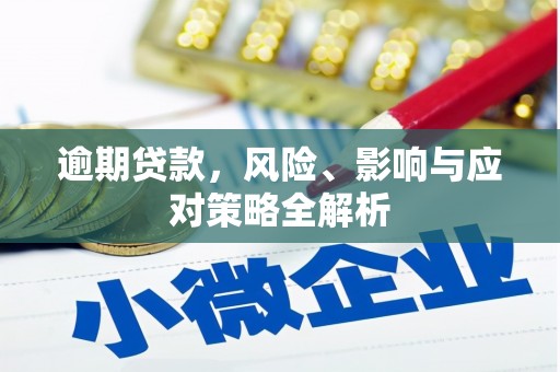 柳城逾期贷款，风险、影响与应对策略全解析