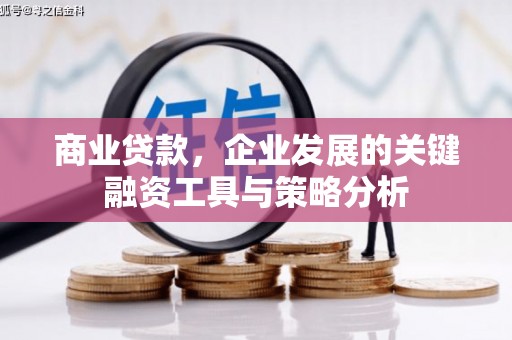 柳城商业贷款，企业发展的关键融资工具与策略分析