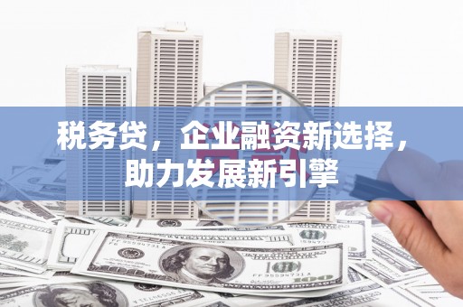 柳城税务贷，企业融资新选择，助力发展新引擎