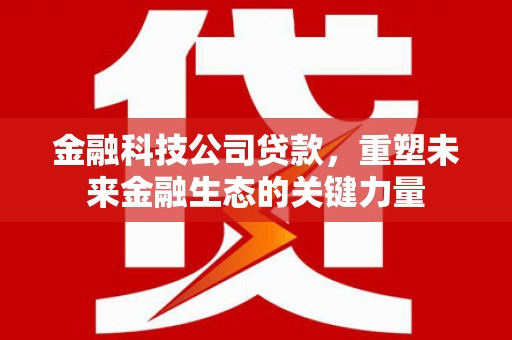 柳城金融科技公司贷款，重塑未来金融生态的关键力量