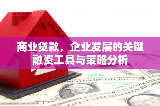 柳城商业贷款，企业发展的关键融资工具与策略分析