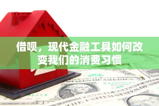 柳城借呗，现代金融工具如何改变我们的消费习惯
