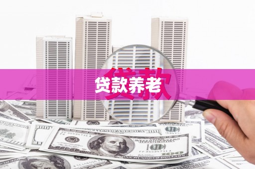 柳城贷款养老