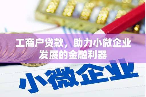 柳城工商户贷款，助力小微企业发展的金融利器