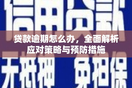 柳城贷款逾期怎么办，全面解析应对策略与预防措施