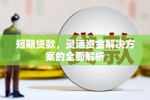 柳城短期贷款，灵活资金解决方案的全面解析