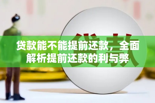 柳城贷款能不能提前还款，全面解析提前还款的利与弊