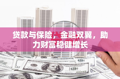 柳城贷款与保险，金融双翼，助力财富稳健增长