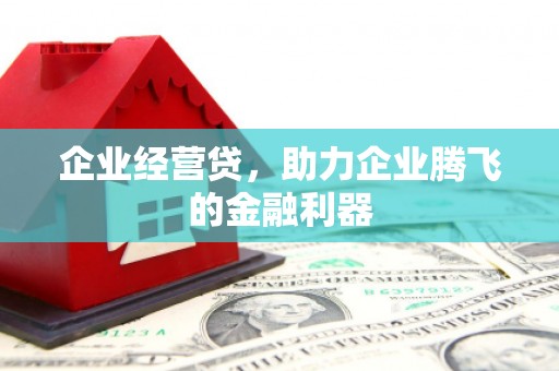 柳城企业经营贷，助力企业腾飞的金融利器