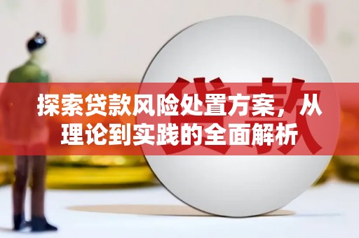 柳城探索贷款风险处置方案，从理论到实践的全面解析