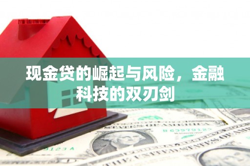 柳城现金贷的崛起与风险，金融科技的双刃剑