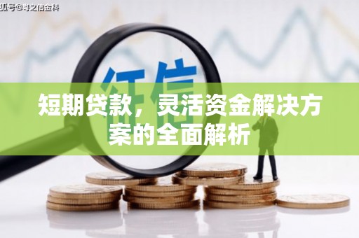 柳城短期贷款，灵活资金解决方案的全面解析