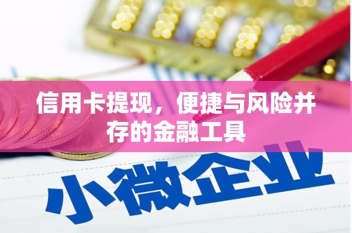 柳城信用卡提现，便捷与风险并存的金融工具