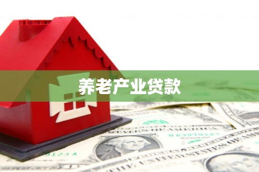 柳城养老产业贷款