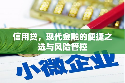 柳城信用贷，现代金融的便捷之选与风险管控