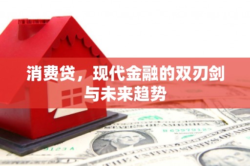 柳城消费贷，现代金融的双刃剑与未来趋势