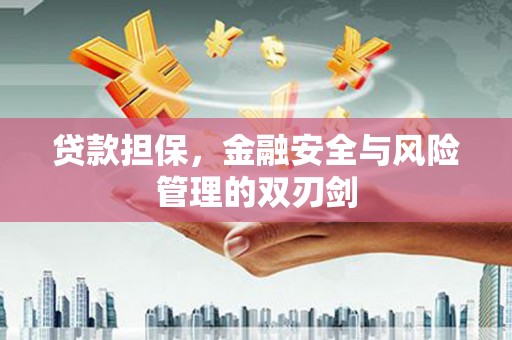 柳城贷款担保，金融安全与风险管理的双刃剑