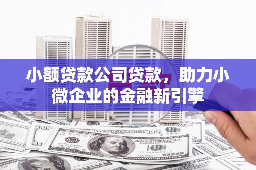 柳城小额贷款公司贷款，助力小微企业的金融新引擎