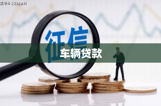 柳城车辆贷款
