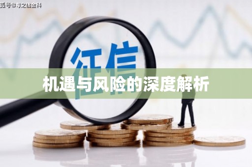 柳城机遇与风险的深度解析