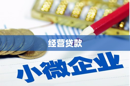 柳城经营贷款