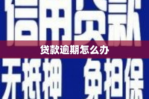 柳城贷款逾期怎么办