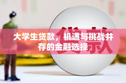 柳城大学生贷款，机遇与挑战并存的金融选择