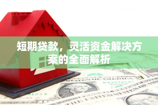 柳城短期贷款，灵活资金解决方案的全面解析