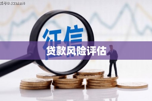 柳城贷款风险评估