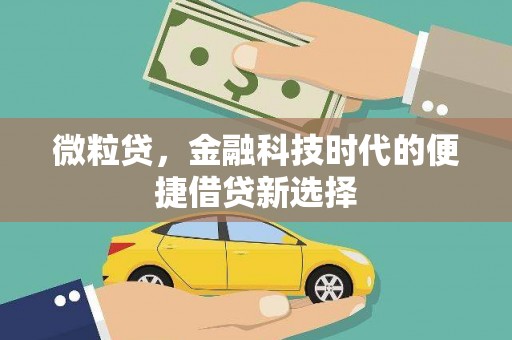 柳城微粒贷，金融科技时代的便捷借贷新选择