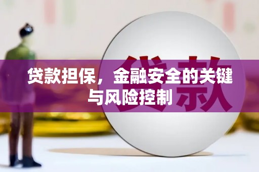 柳城贷款担保，金融安全的关键与风险控制